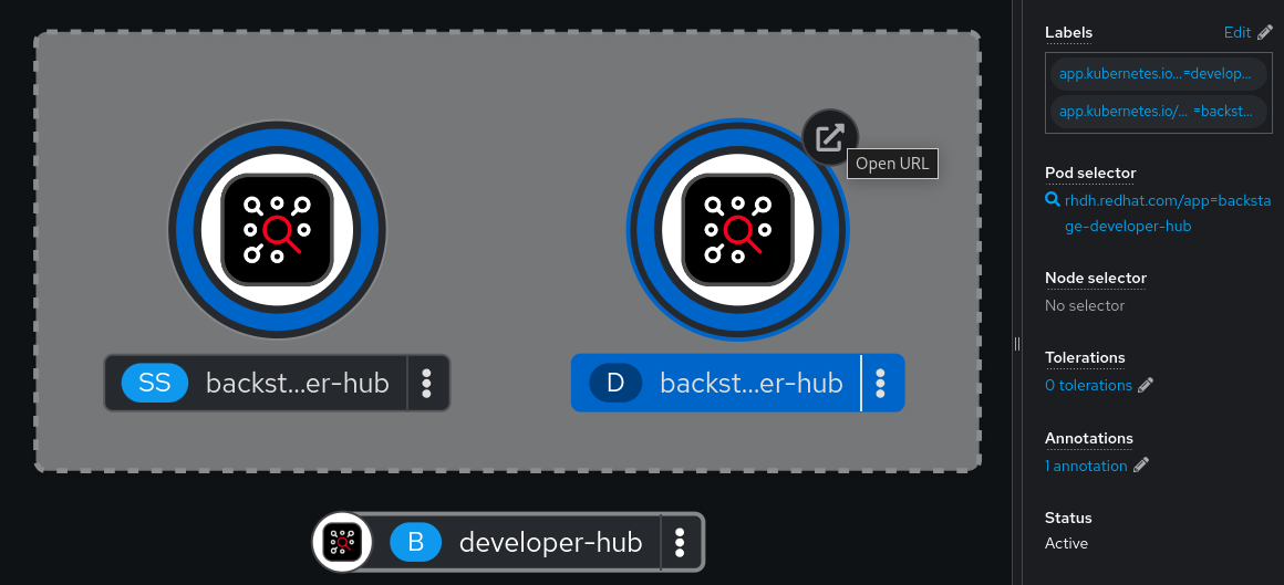 Operator installation topology view in the OpenShift web console