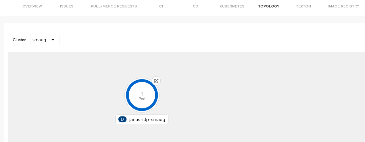 Topology tab showing workload nodes